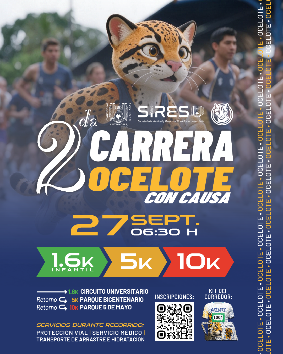 Flyer Digital Carrera Ocelote
